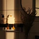 Led Night Light